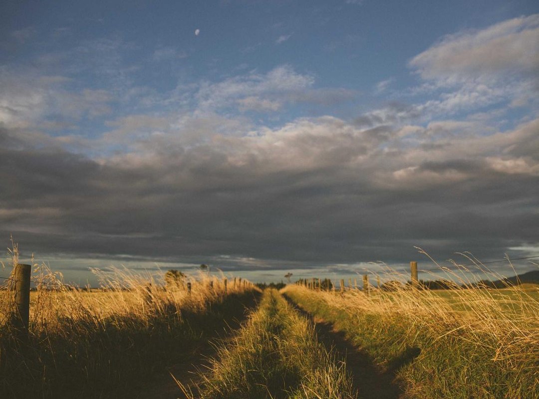 How to Get the Best Rate: A Step-by-Step Guide to Exchanging Your Money