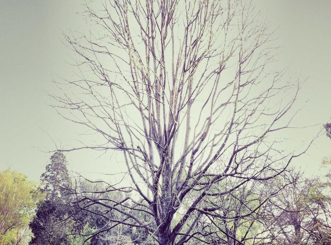 Building the Look: Simple Style Rules for a Photogenic Outfit