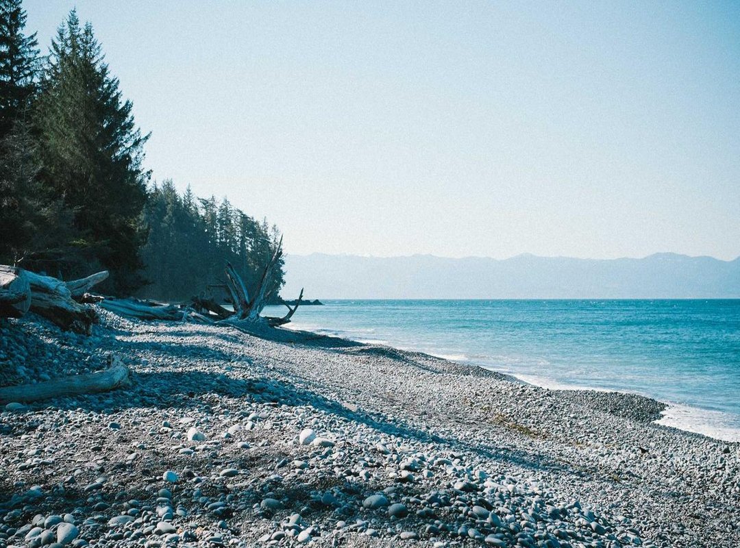 Decoding the Design: What Do the Logo Elements Mean?