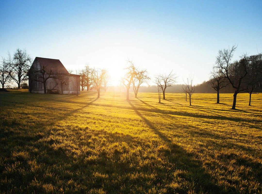 What to Watch: The Games and Content That Define the Channel